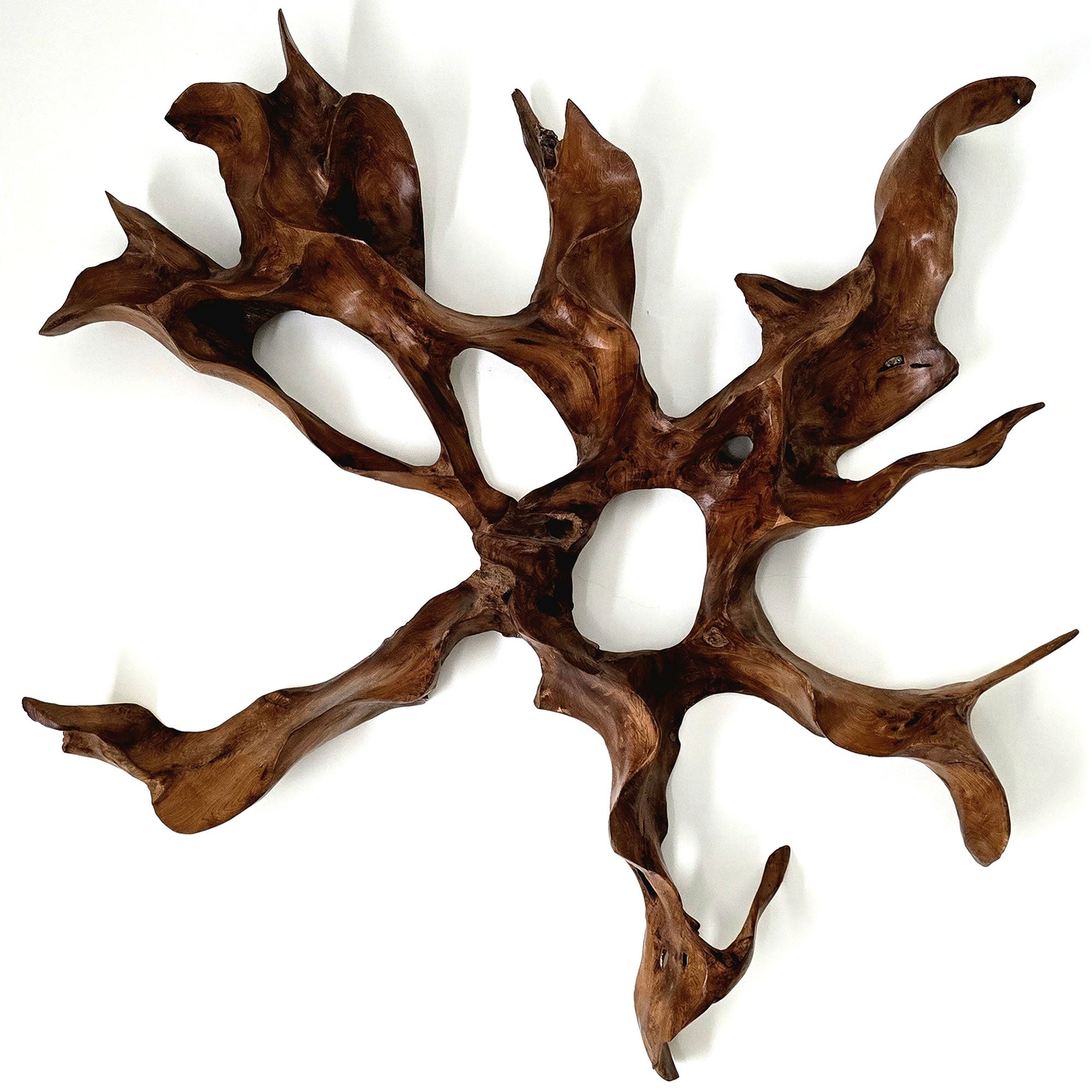 A unique teakwood root sculpture that serves as stunning wall art. This one-of-a-kind masterpiece will be the focal point in any room.