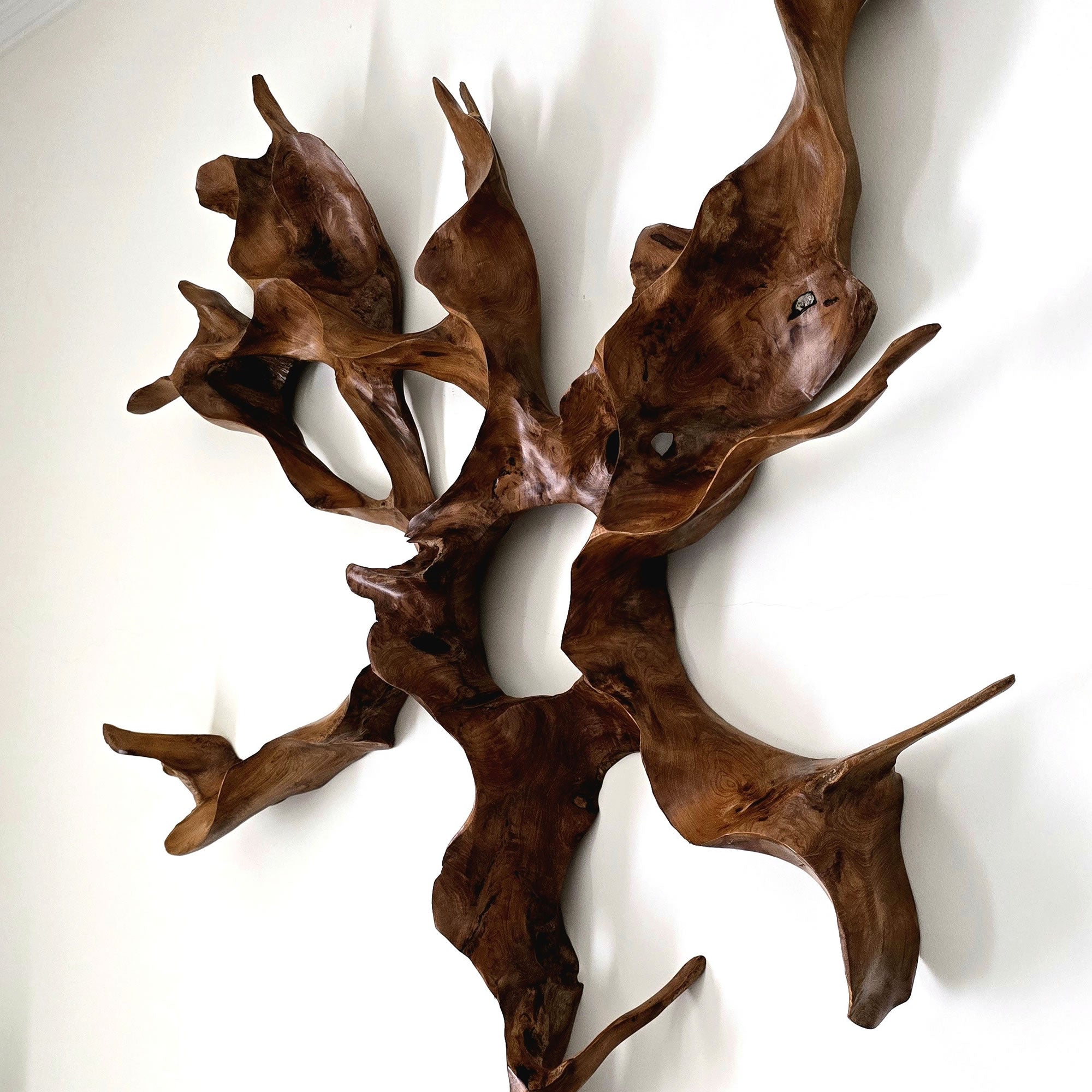A unique teakwood root sculpture that serves as stunning wall art. This one-of-a-kind masterpiece will be the focal point in any room.