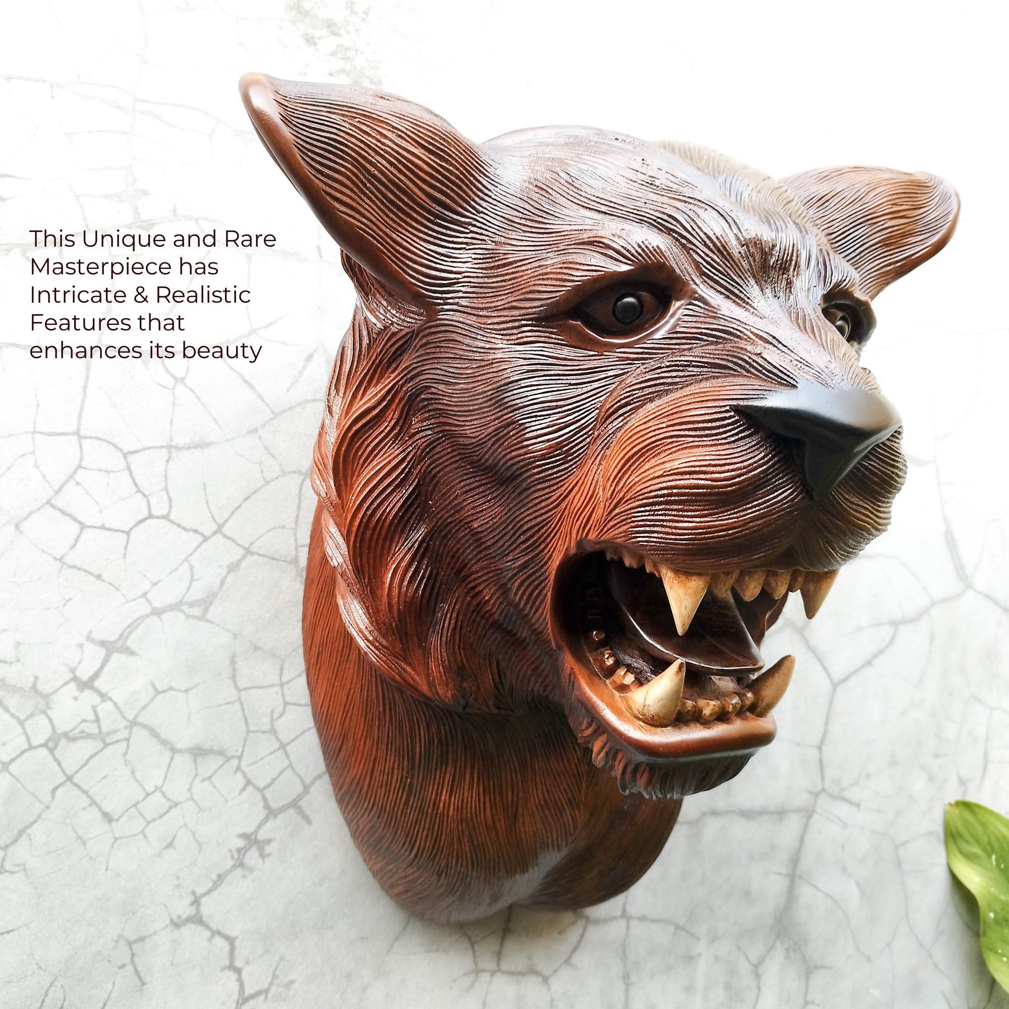 This stunning large hand-carved teakwood decorative African Tiger Lion head wall sculpture is simply amazing. Carved out of solid wood by hand with intricate details. This certainly will be an eye-catching feature in any room and a talking point.