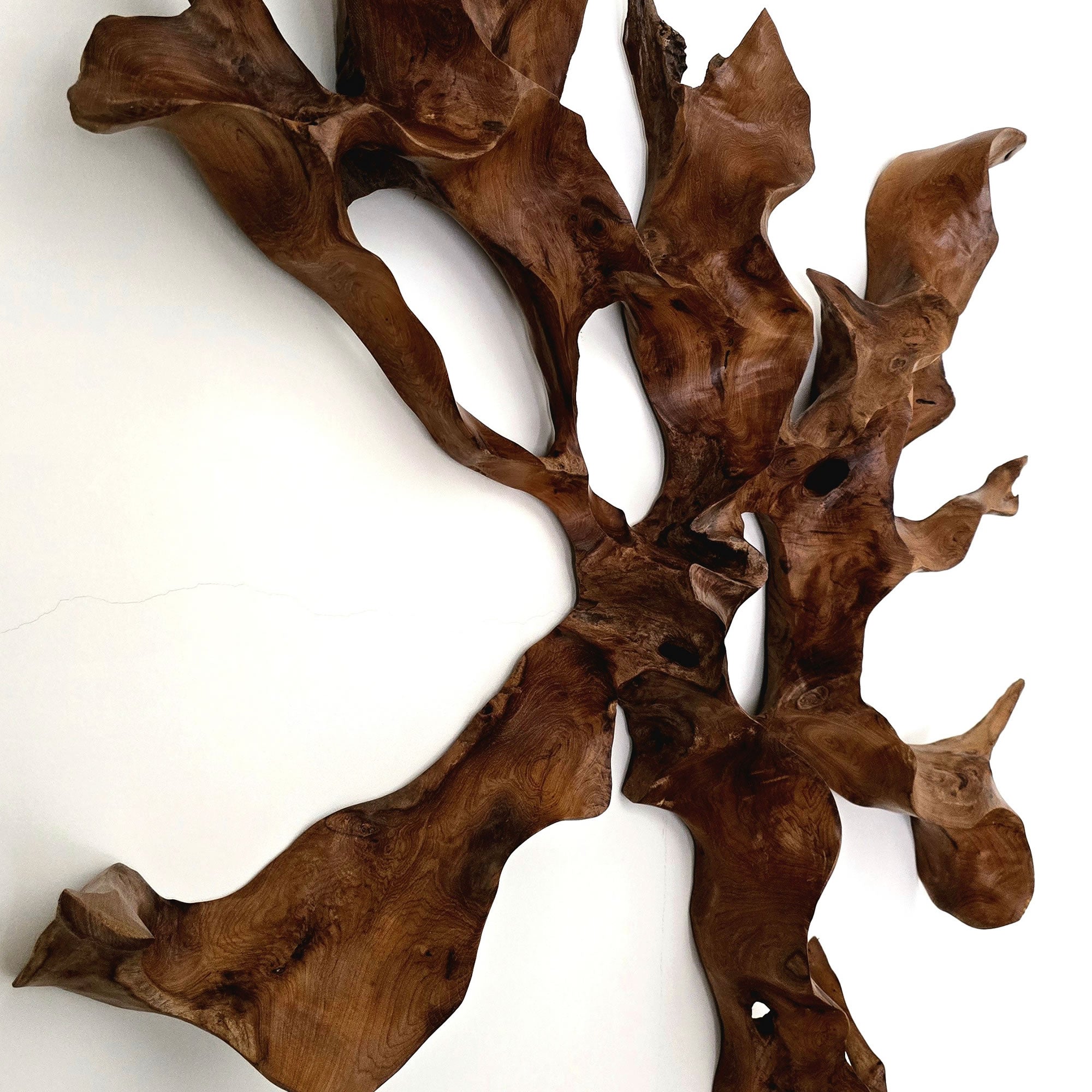 Solid Teakwood Wall Art Sculpture Decore