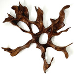A unique teakwood root sculpture that serves as stunning wall art. This one-of-a-kind masterpiece will be the focal point in any room.