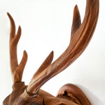 Deer Buck Head - Carved Wooden Decorative Sculpture Art